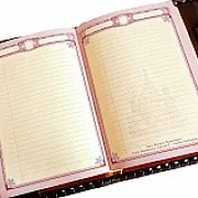 Ежедневник руководителя большой "Дракон" — необычный подарок — фотография 4