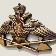 На память: Резной герб МТО ВС РФ из бука — фотография 3