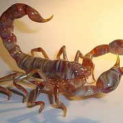 Скульптура «Скорпионы» из стекла — оригинальный подарок — фотография 1